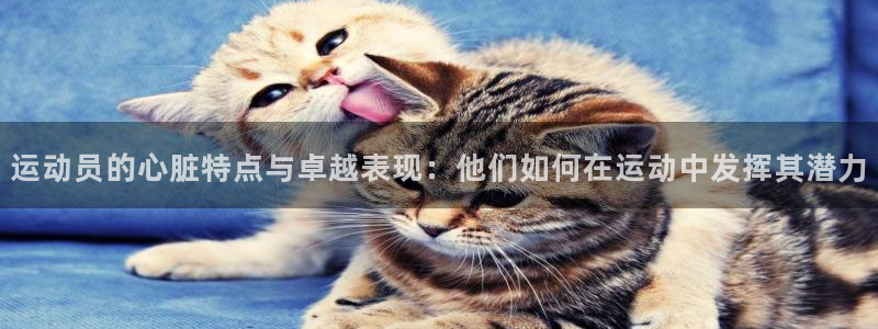 看球体育app下载：运动员的心脏特点与卓越表现：他们如何在运动中发挥其潜力