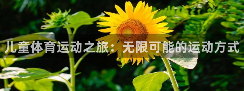看球体育平台：儿童体育运动之旅：无限可能的运动方式