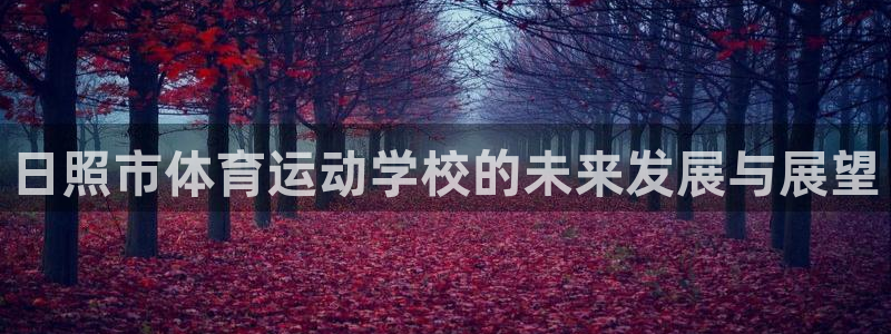 看球体育app下载：日照市体育运动学校的未来发展与展望
