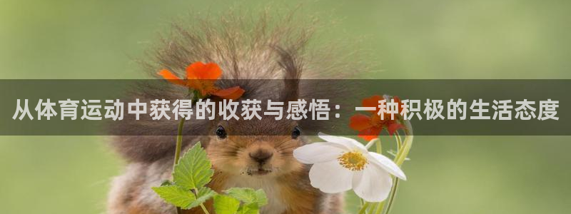 看球体育app下载安装：从体育运动中获得的收获与感悟：一种积极的生活态度