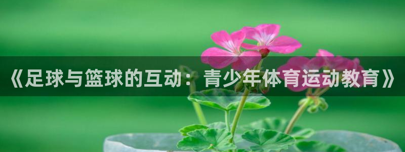 看球体育尤米：《足球与篮球的互动：青少年体育运动教育》
