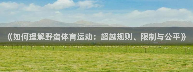 看球体育app下载最新版本：《如何理解野蛮体育运动：超越规则、限制与公平》
