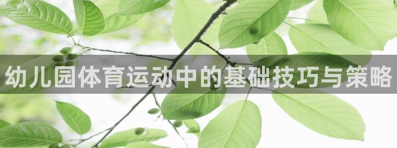 看球体育app下载：幼儿园体育运动中的基础技巧与策略