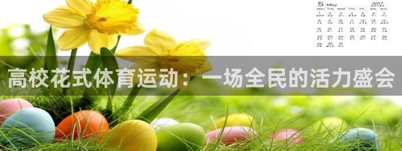 看球体育app：高校花式体育运动：一场全民的活力盛会