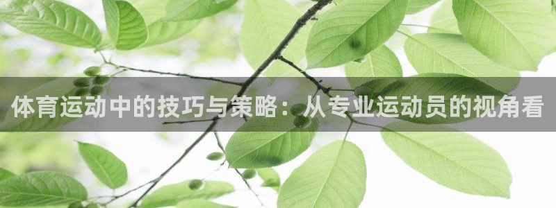 看球体育科技有限公司：体育运动中的技巧与策略：从专业运动员的视角看