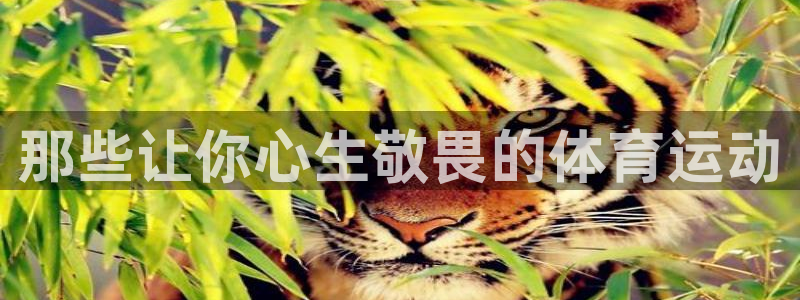 看球体育APP官方免费下载：那些让你心生敬畏的体育运动