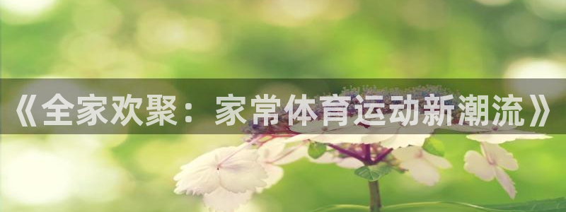 看球体育app手机版免费：《全家欢聚：家常体育运动新潮流》