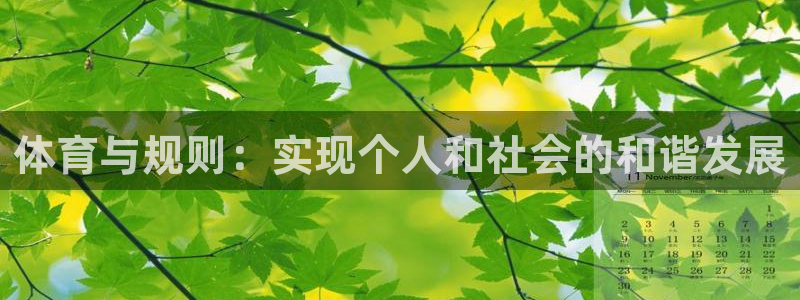 看球体育科技有限公司：体育与规则：实现个人和社会的和谐发展